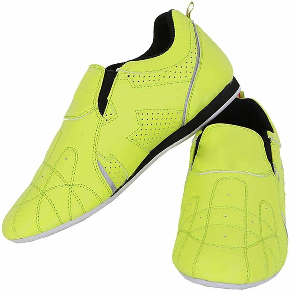 Karate Shoe NG-4801