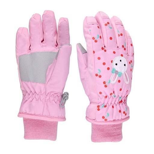 Ski Glove NG-5819