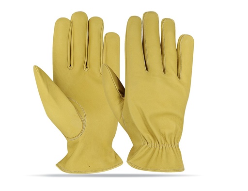 [NG-5902] Driving Glove NG-5902