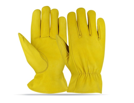 Driving Glove NG-5904