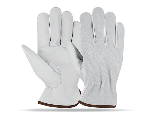 Driving Glove NG-5906
