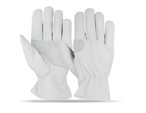 [NG-5907] Driving Glove NG-5907